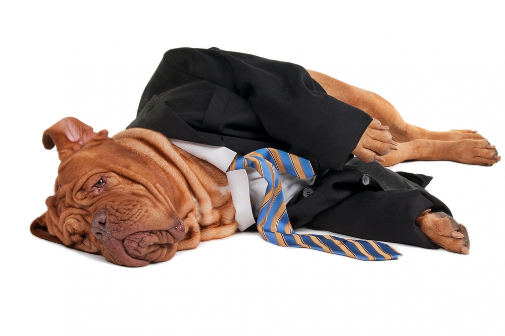 Best in Show – Lessons in Creating Good Corporate Behavior