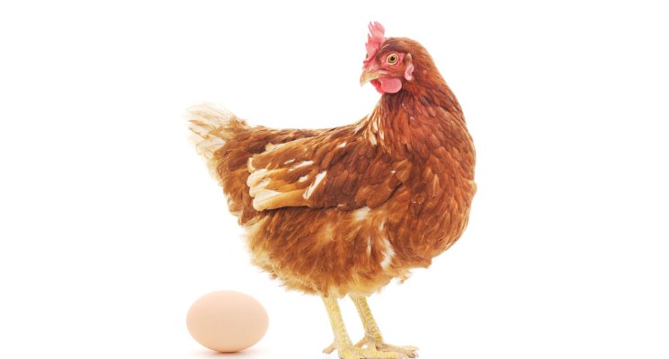The Chicken or the Egg? How to Know When it’s Time to Hire More Employees
