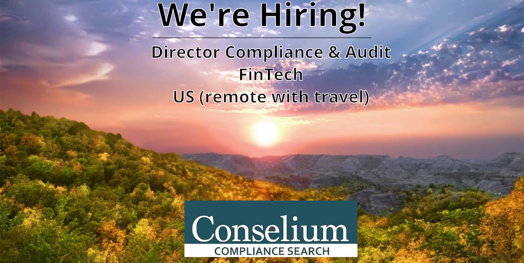 Director Compliance and Audit, FinTech, US (Remote with travel)
